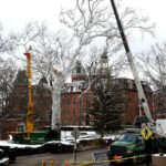 cutting down tree in front of Moore Hall